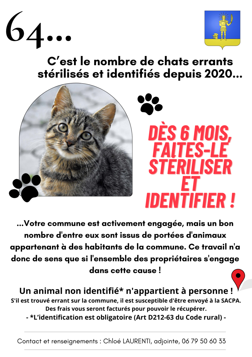 Stérilisation des chats 🐱