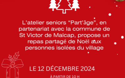 Repas de Noël pour personnes isolées