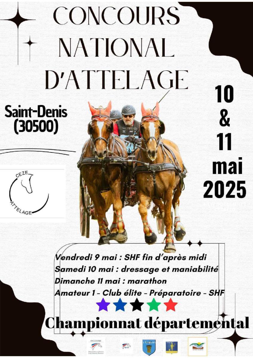 Chevaux : concours national d’attelage
