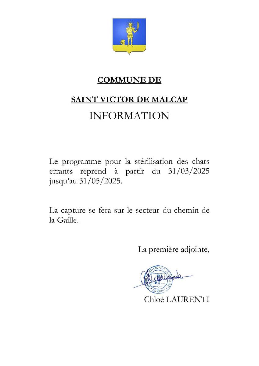 Stérilisation des chats