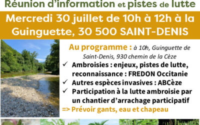 Lutte contre l’ambroisie