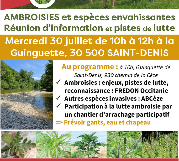 Lutte contre l’ambroisie