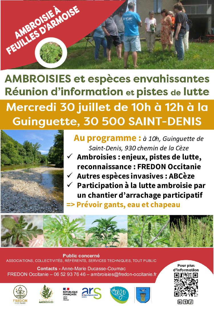 Lutte contre l’ambroisie